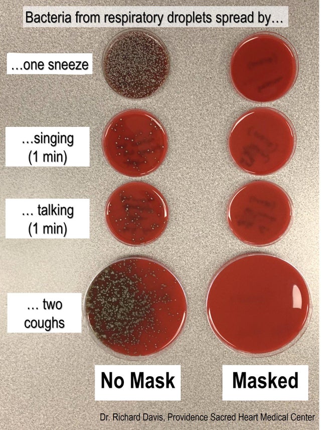 mask vs unmasked petri dish